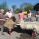 Werken met Wol Hennie Hartkamp Viltworkshop vilten P1060179