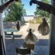 Werken met Wol Hennie HartkampIMG 20200528 162100